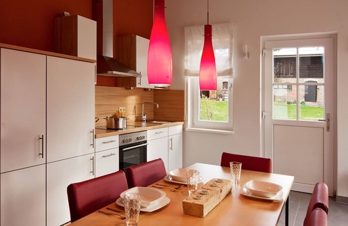 Muritz Apartment | Great Crested Grebe - Great Crested Grebe Barn Loppiner See