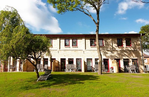 Muritz Apartment | Great Crested Grebe - Great Crested Grebe Barn Loppiner See