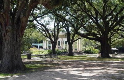 Audubon House | Great House For A Large Group or a small gathering