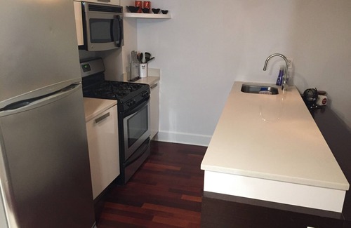 Williamsburg Apartment | Great location, spacious 1BR apartment with high ceiling.