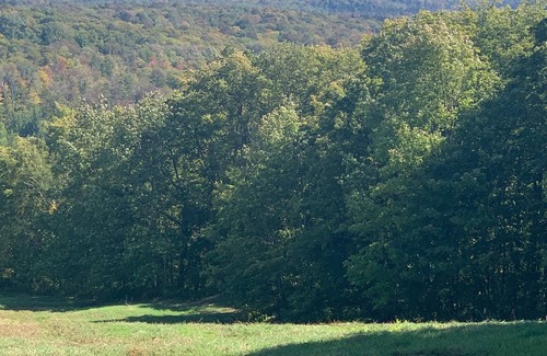 Bromley Mountain House | Great Long distance views on Bromley Mountain. Four season family/group getaway!