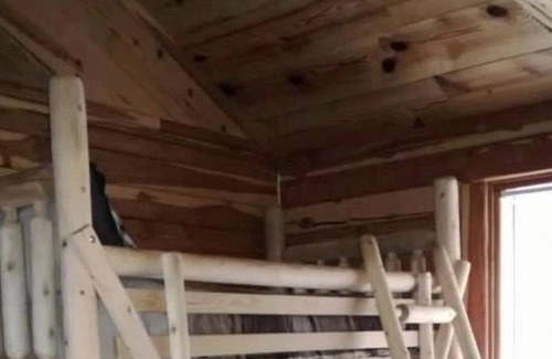 Fifty-Six Cabin | Great Oaks Cabins, Cabin 3