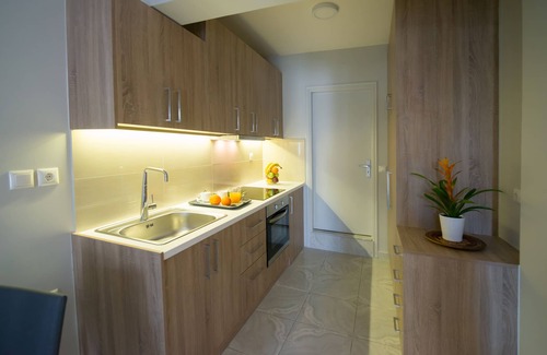 Kariotai Apartment | Great Studio in Lefkada Flat 3