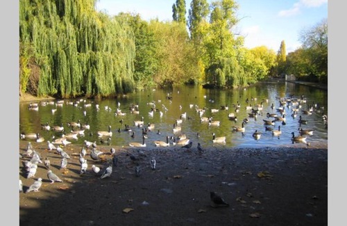 Barking Apartment | Great transport links Barking East London