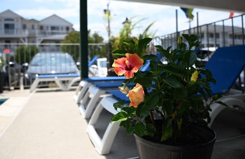 North Wildwood Hotel | Grecian Gardens Motel