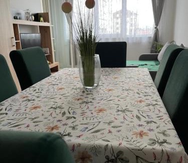 Paracin Apartment | Green Apartman