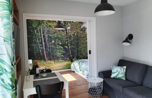 Miedzywodzie Apartment | Green Apartment Międzywodzie