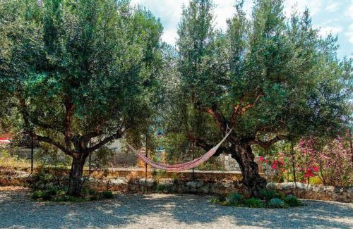 Kardamyli House | Green Blue