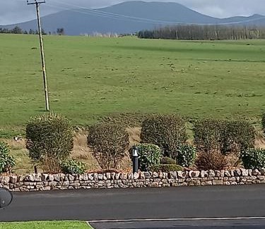 Cockermouth House | Green Dream