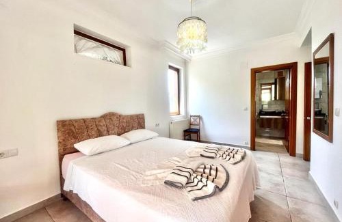 Fethiye Villa | Green Grapes