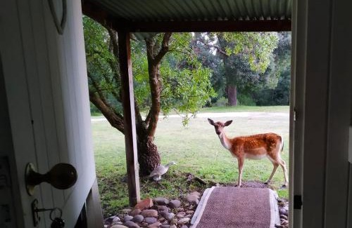 Bitou Cabin | Green Hills Forest Lodge