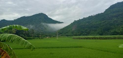 Cam Thuy House | Green Hills Homestay