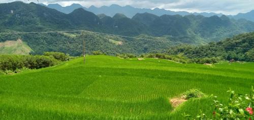 Cam Thuy House | Green Hills Homestay