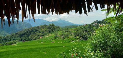 Cam Thuy House | Green Hills Homestay