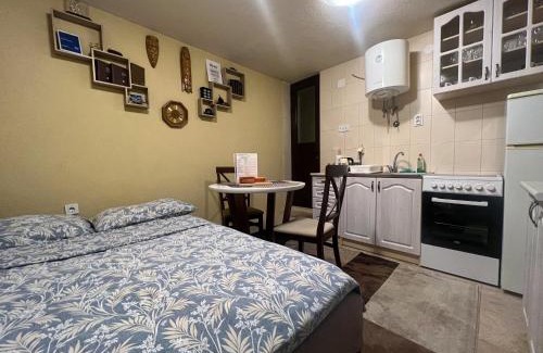 Downtown Apartment | Green Hills II by Rent a car MI
