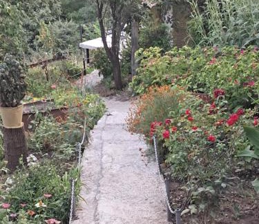 Sighnaghi House | Green House მწვანე სახლი
