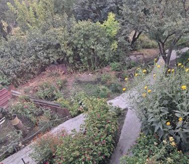 Sighnaghi House | Green House მწვანე სახლი