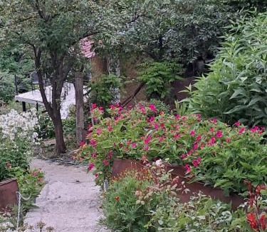 Sighnaghi House | Green House მწვანე სახლი