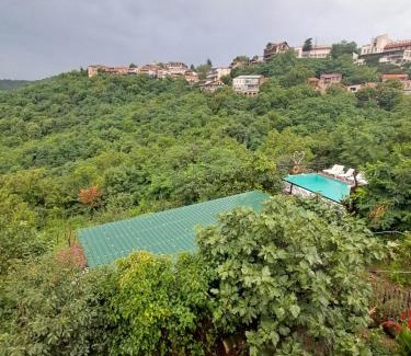 Sighnaghi House | Green House მწვანე სახლი