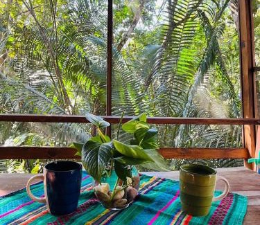 San Ignacio House | Green Jay Cabins