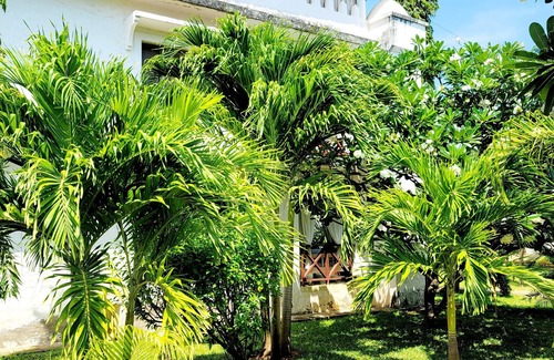 Malindi Apartment | Green Malindi Apartments by RevSerene