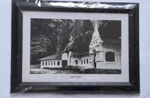 Gankewala House | Green nature inn villa