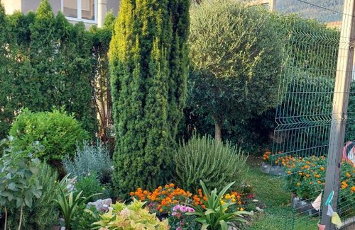 Radanovici Apartment | Green Oasis