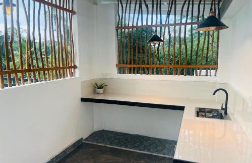 Wanchawala House | Green Paddy House