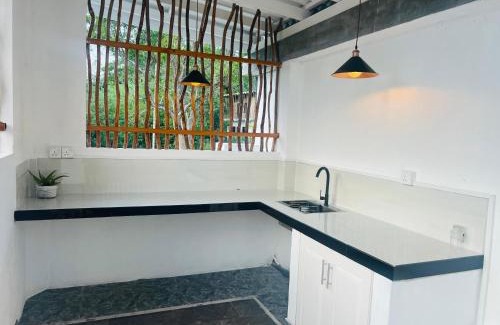 Wanchawala House | Green Paddy House