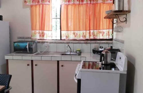 Cahuita Cabin | GREEN PARAKEET LITTLE HOUSE