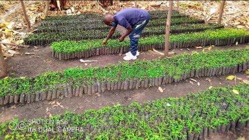 Kasese House | Green Pearl Adventures