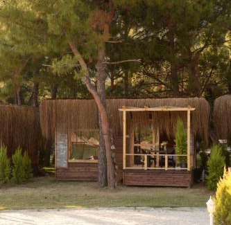 Oludeniz Hotel | Green Pine Bungalows & Beach Luxury Concept
