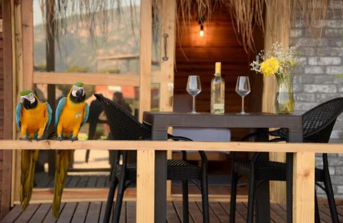 Oludeniz Hotel | Green Pine Bungalows & Beach Luxury Concept
