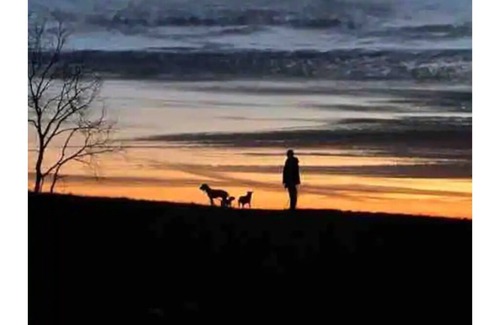 South Charleston RV Rental | Green Plains Farm