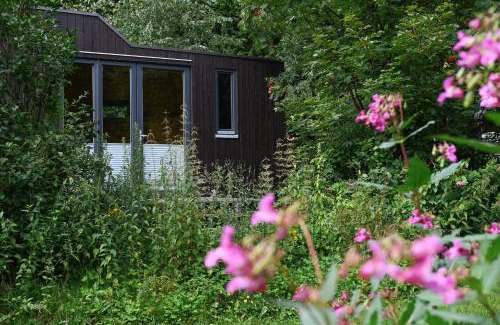 Osterode am Harz House | Green Tiny Village Harz - Tiny House Nature 19