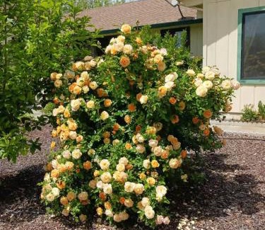 Graton House | Green Valley, Sonoma County Vacation Rental at a Working Winery