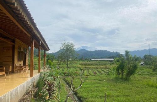 Sidemen House | Green vanilla kabin