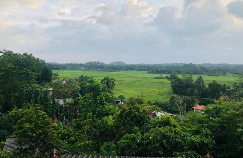 Poddala Villa | Green Villa