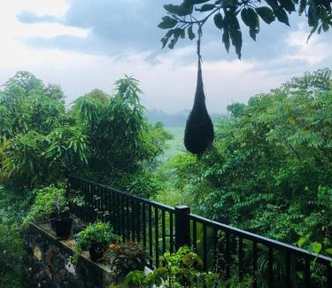 Poddala Villa | Green Villa