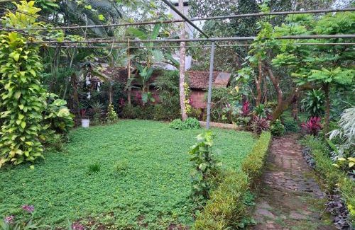 Talipparamba House | greenview homestay Mayyil