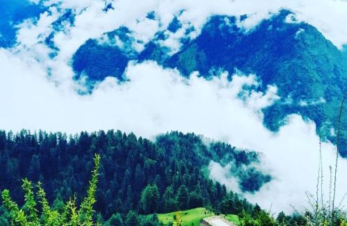 Mohal House | Greenview Homestay Sainj Kullu