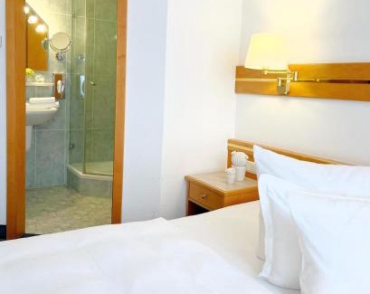 Wurzburg City Centre Hotel | Greifensteiner Hof