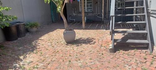 Port Elizabeth Central House | Greyhouse