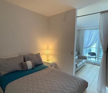 Griffintown Apartment | Griffintown luxury 1 open bedroom apartment
