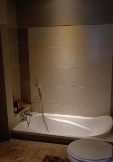 Andong Apartment | Griya Sari Bungalow