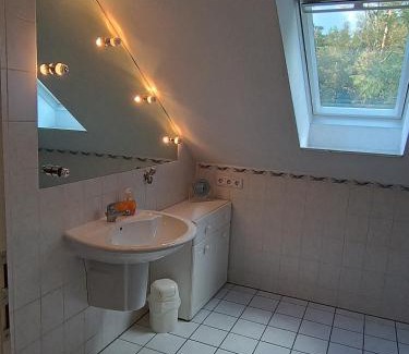 Bockswiese Apartment | Großzügige Ferienwohnung DAN462