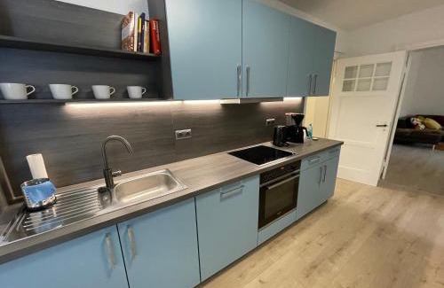 Clausthal-Zellerfeld Apartment | Großzügige Souterrainwohnung in historischer Stadtvilla im Herzen Zellerfelds