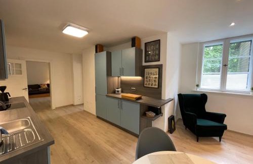 Clausthal-Zellerfeld Apartment | Großzügige Souterrainwohnung in historischer Stadtvilla im Herzen Zellerfelds