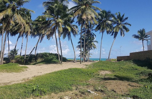Cabarete Apartment | Ground floor B&B room/bathroom on the beach, breakfast included!