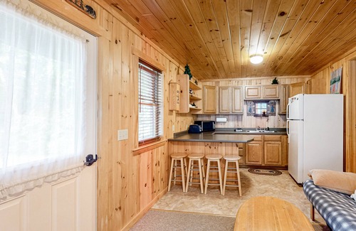 Greenville Cabin | Ground-floor gem with privately shared dock on Moosehead Lake - dog friendly